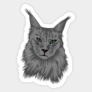 Maine Coon Cat Sticker